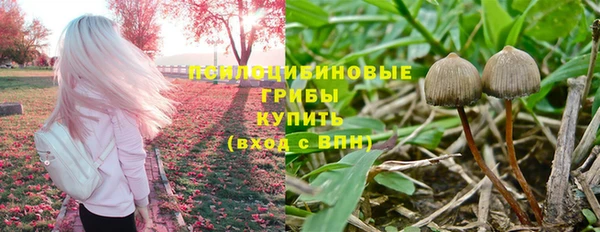 спайс Алексин