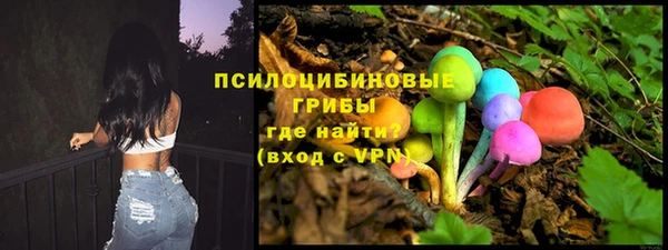 не бодяженный Абаза