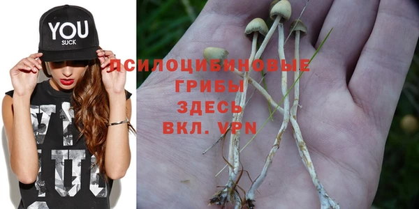 хмурый Абинск