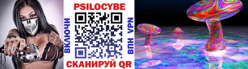 Псилоцибиновые грибы Psilocybine cubensis  Собинка 